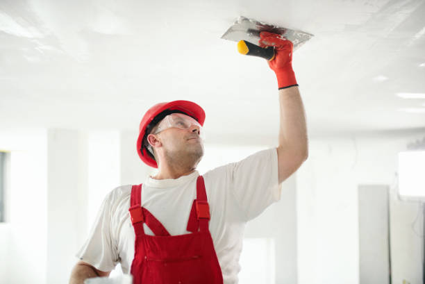 Best Mold Documentation for Insurance Claims  in Thomasville, GA
