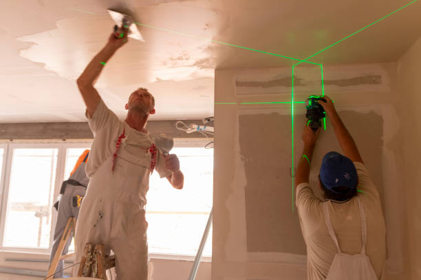Best Attic Mold Removal  in Thomasville, GA
