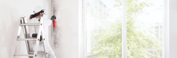 Best HVAC Mold Inspection and Cleaning  in Thomasville, GA