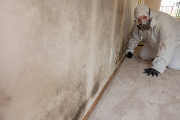 Best Asbestos and Lead Testing During Mold Inspection  in Thomasville, GA