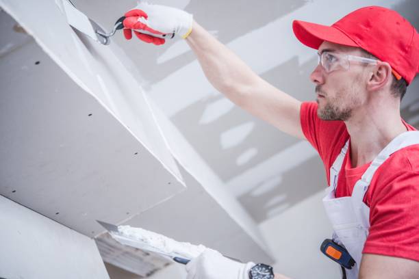 Professional Mold Removal in Thomasville, GA